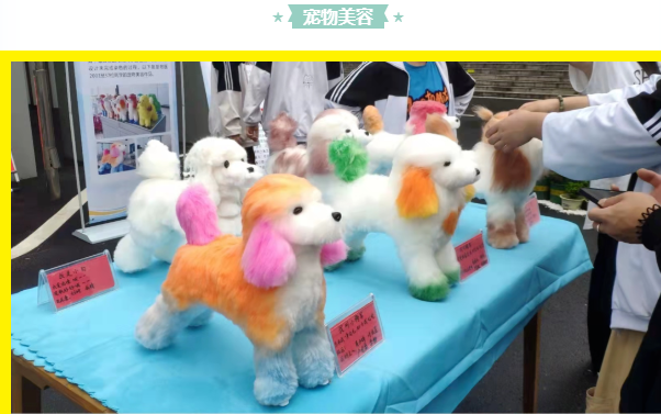 1679369163126341.png 圖片1.png